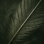Inspiration 3